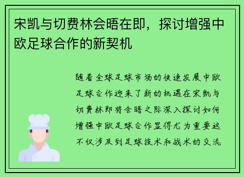 宋凯与切费林会晤在即，探讨增强中欧足球合作的新契机