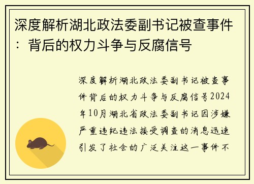 深度解析湖北政法委副书记被查事件：背后的权力斗争与反腐信号